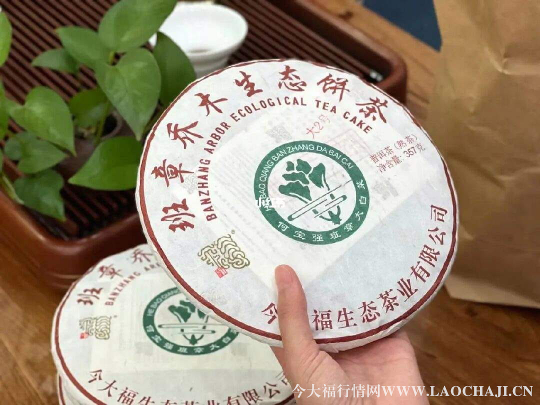 今大福普洱茶 今大福普洱茶