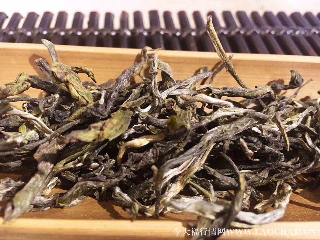 今大福普洱茶毛料 今大福普洱茶毛料