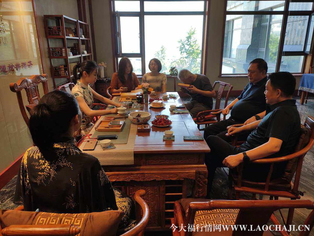 今大福普洱茶品鑒會