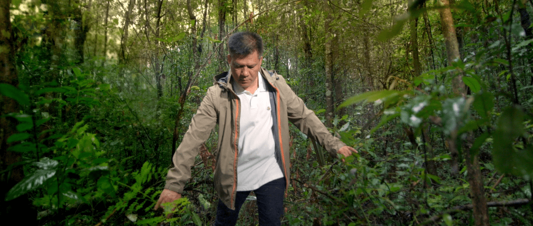 <a href=http://m.irkerecue.com/ target='_blank'>今大福茶葉</a>創(chuàng)始人何寶強(qiáng)