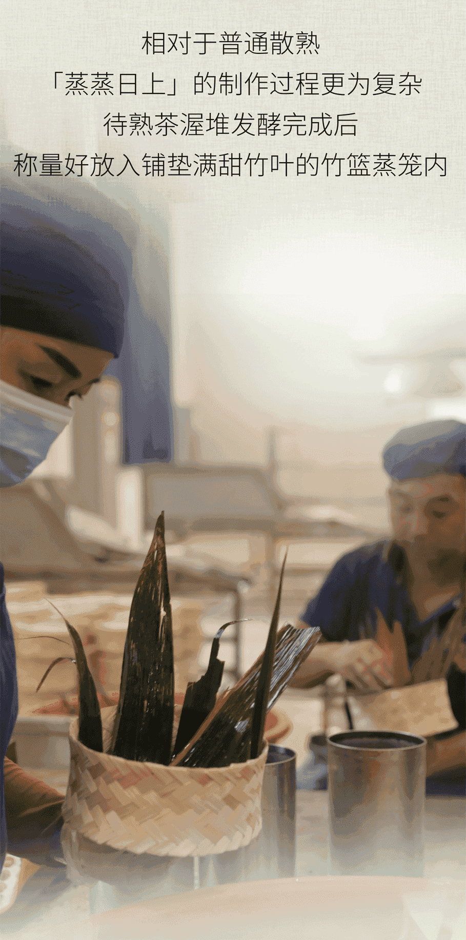 今大福2022年蒸蒸日上散熟 今大福2022年蒸蒸日上散熟