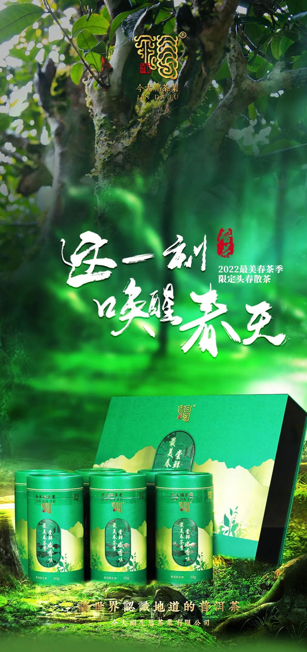 今大福2022年限定頭春散茶 今大福2022年限定頭春散茶