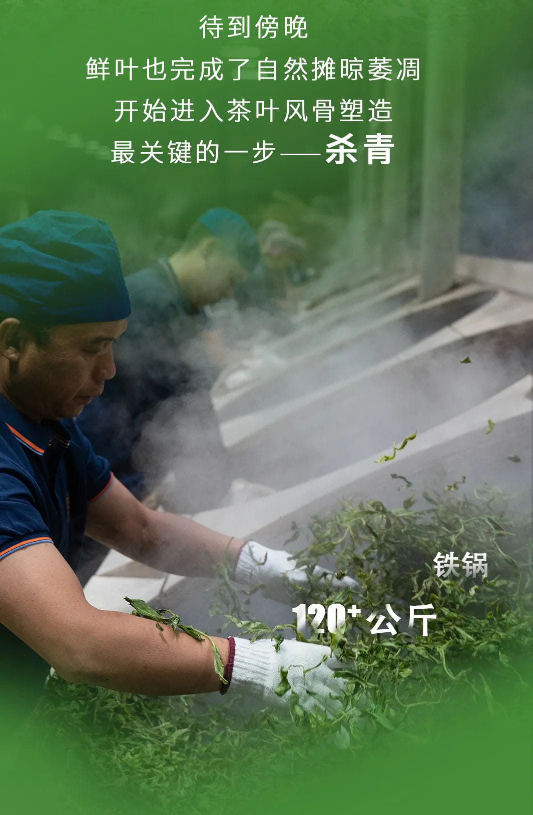 今大福2022年限定頭春散茶 今大福2022年限定頭春散茶