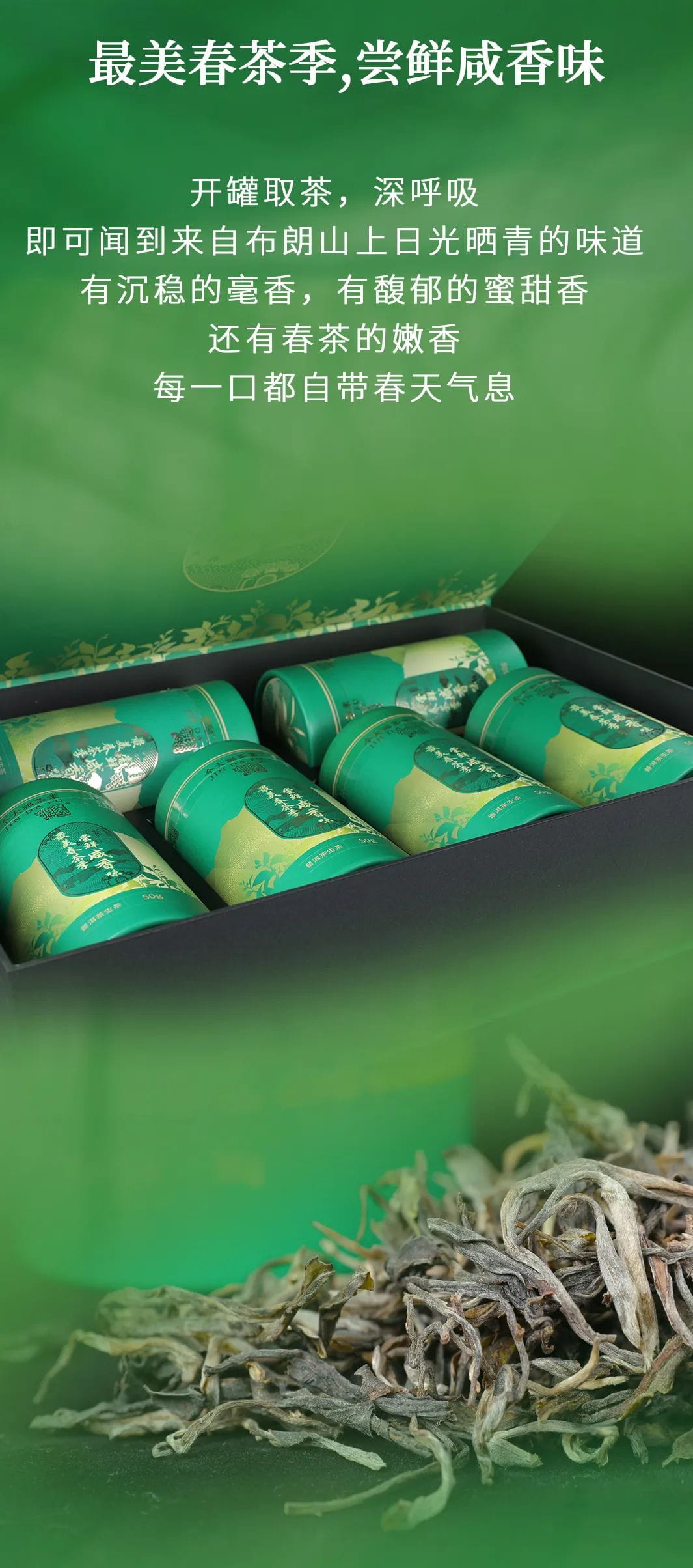 今大福2022年限定頭春散茶 今大福2022年限定頭春散茶