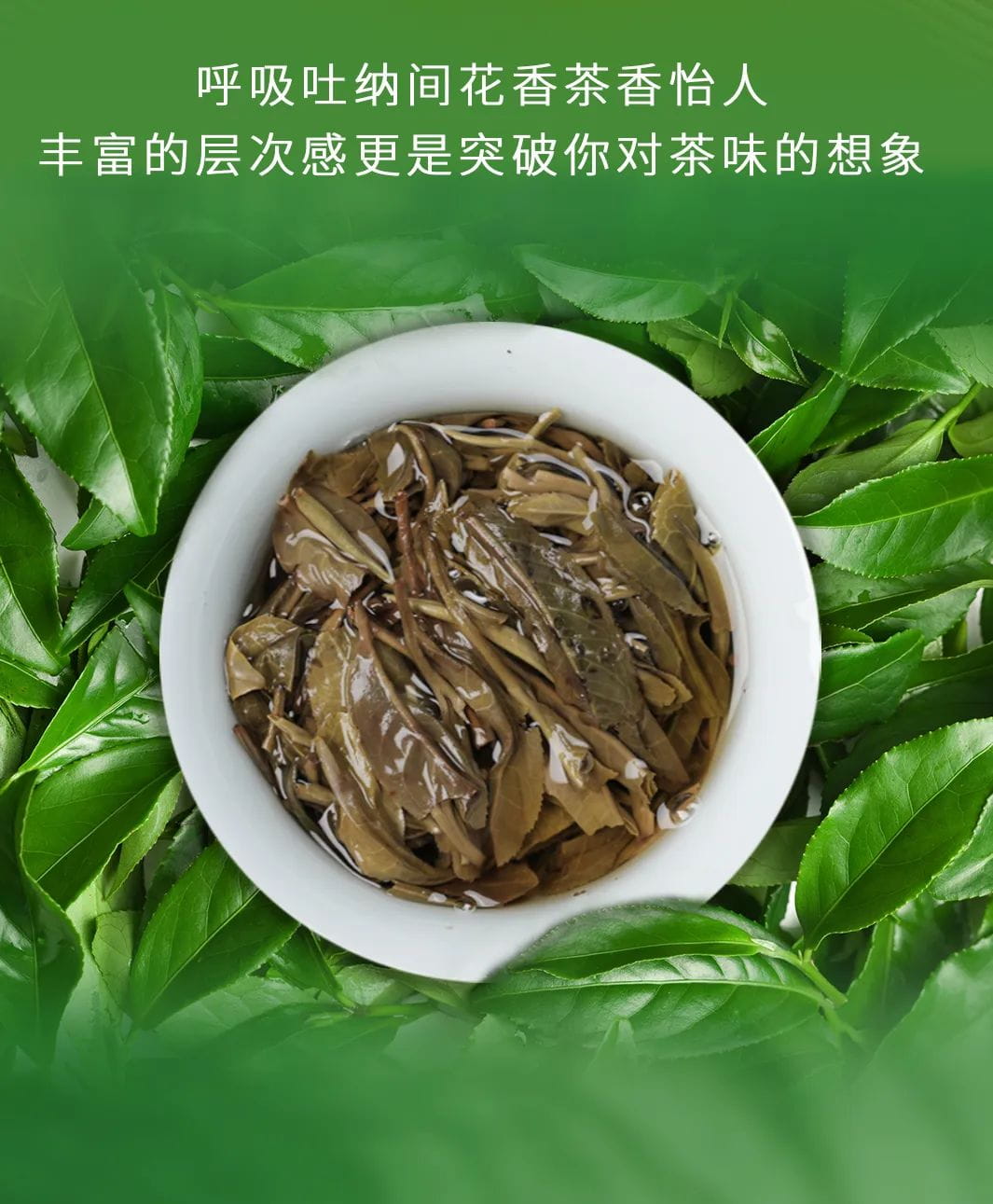 今大福2022年限定頭春散茶 今大福2022年限定頭春散茶