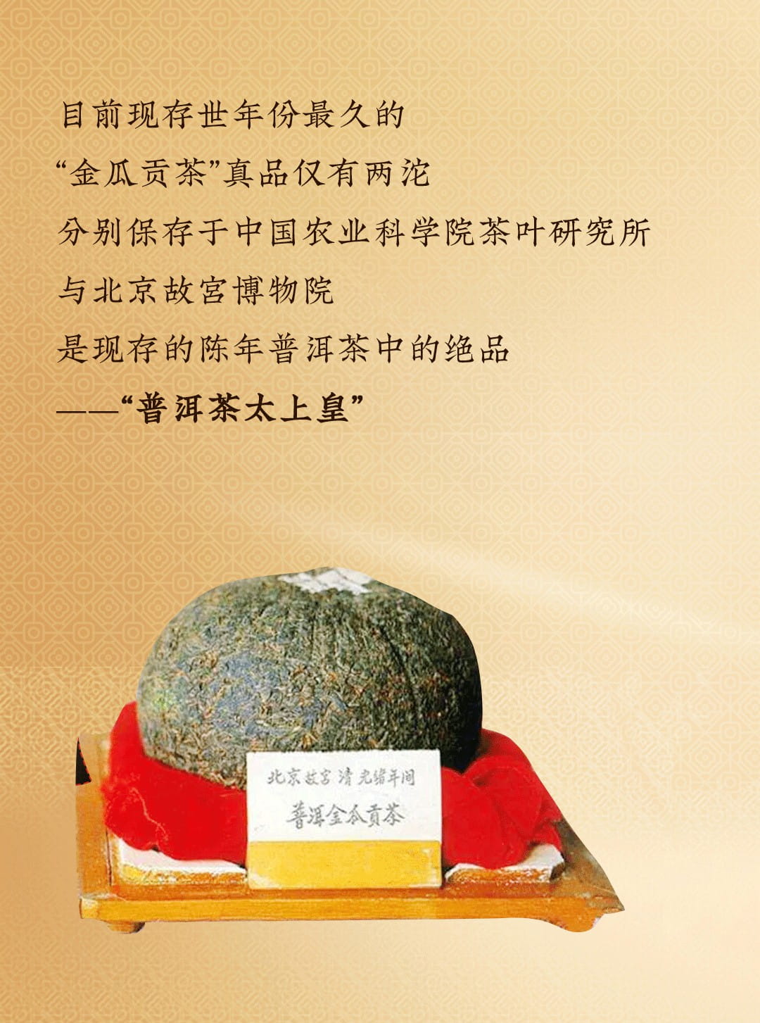 今大福2022年藏?！ぐ嗾陆鸸喜?>
	<img src=