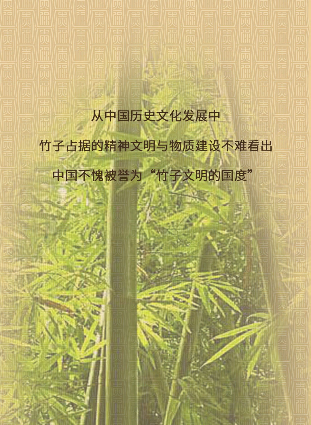 今大福2022年貴福·班章竹筒茶