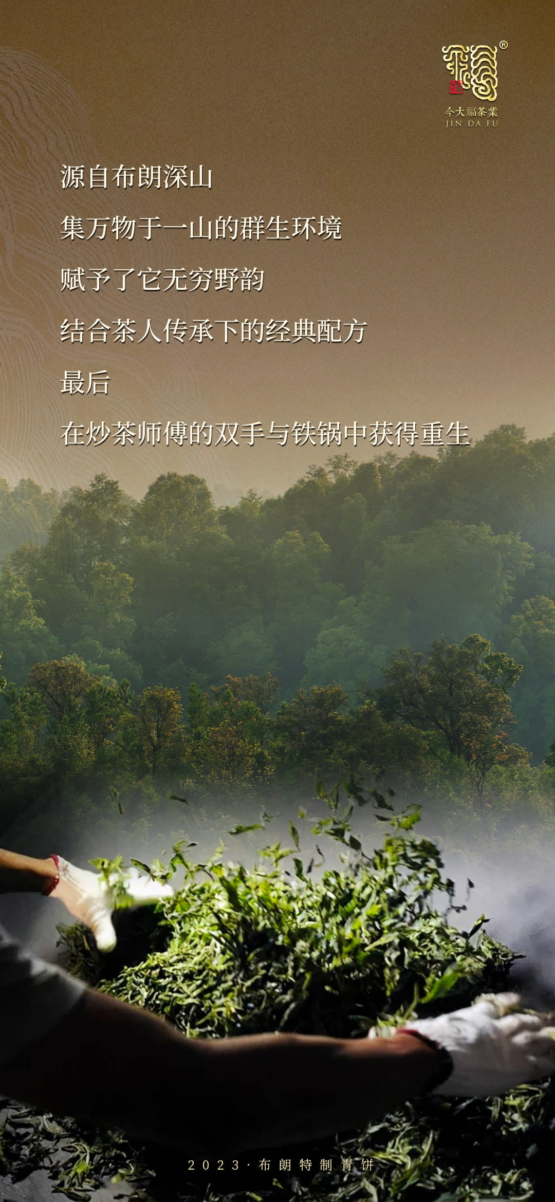 今大福2023年布朗特制青餅 今大福2023年布朗特制青餅