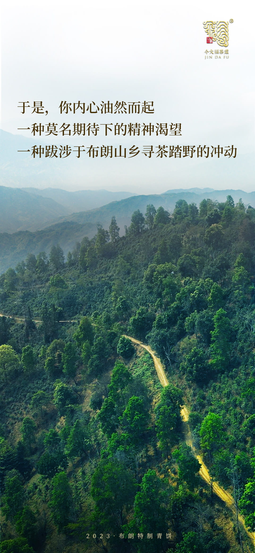 今大福2023年布朗特制青餅 今大福2023年布朗特制青餅