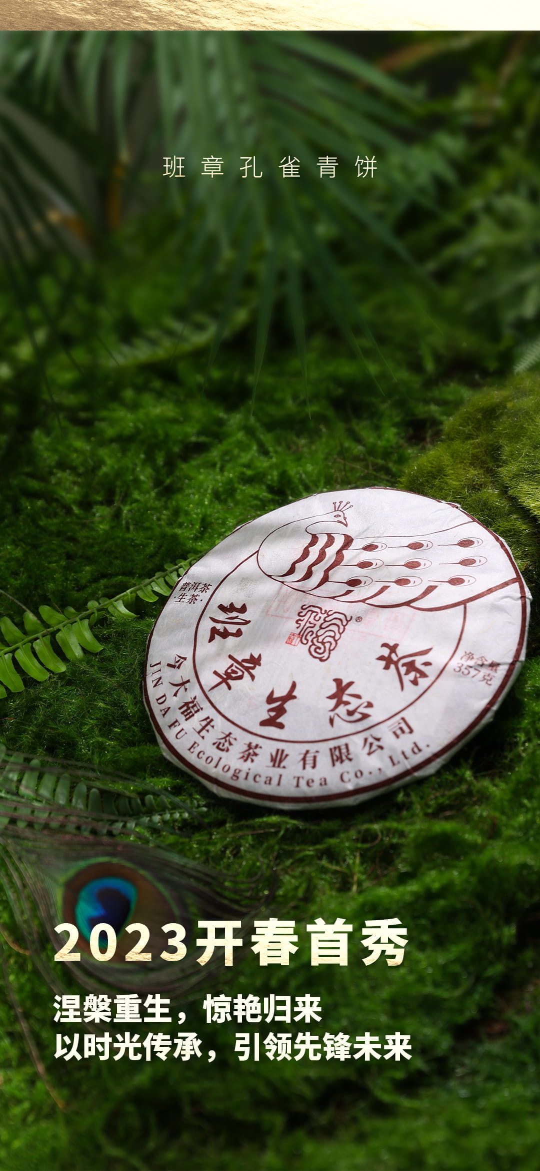 今大福2023年班章孔雀青餅 今大福2023年班章孔雀青餅