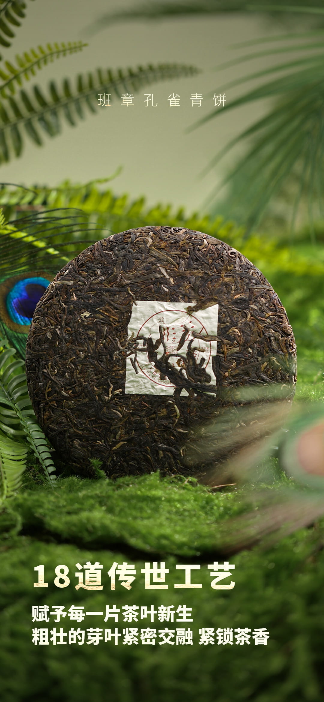 今大福2023年班章孔雀青餅 今大福2023年班章孔雀青餅