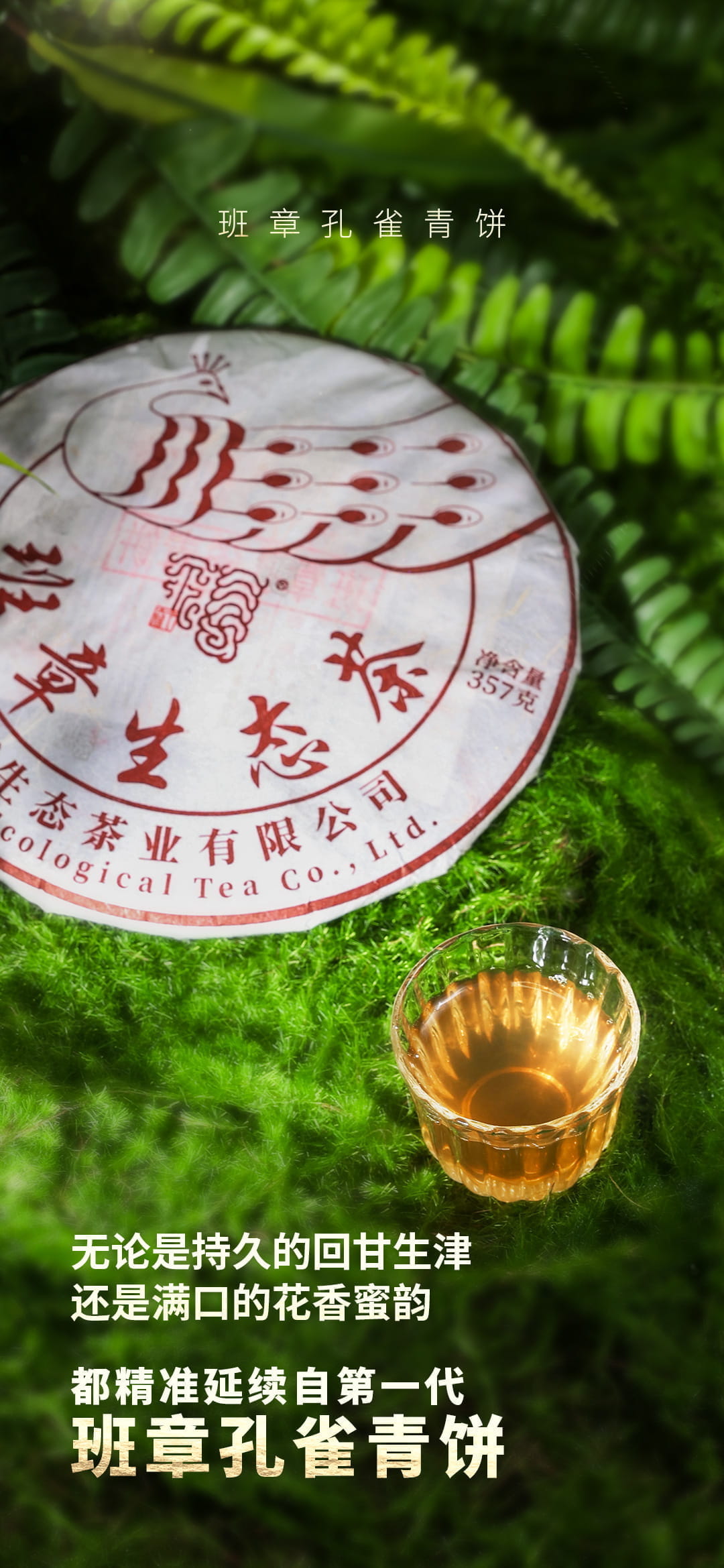 今大福2023年班章孔雀青餅 今大福2023年班章孔雀青餅