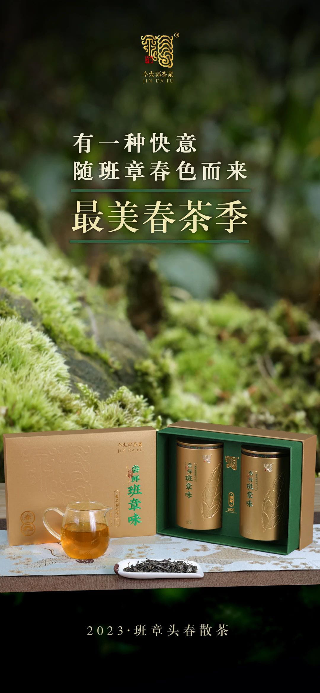 今大福2023年班章頭春散茶 今大福2023年班章頭春散茶