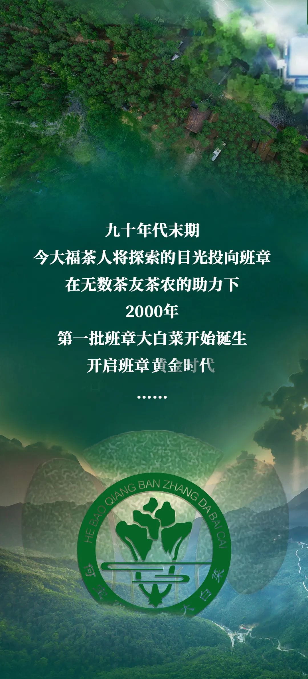 今大福2022年班章一級青餅 今大福2022年班章一級青餅