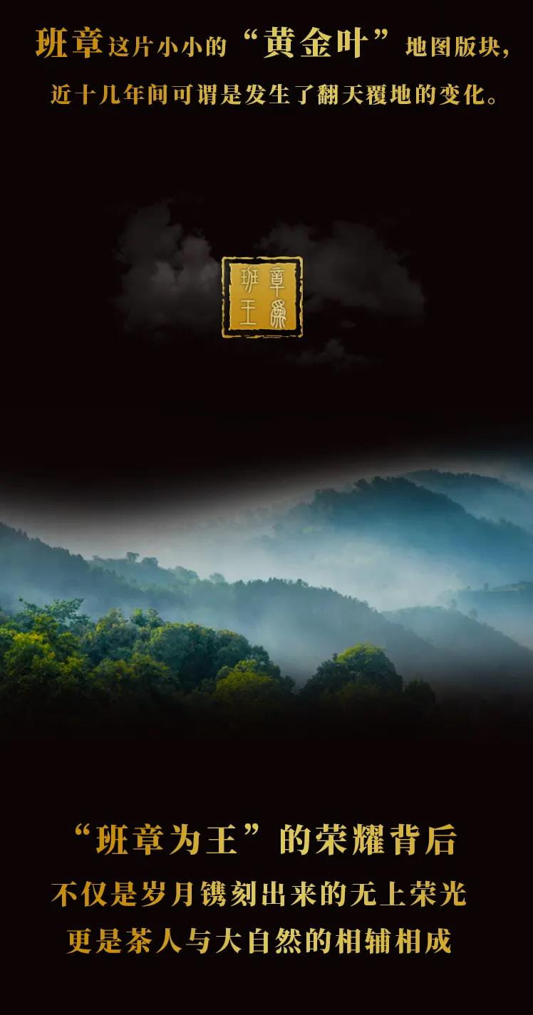 今大福2021年班章茶王青餅