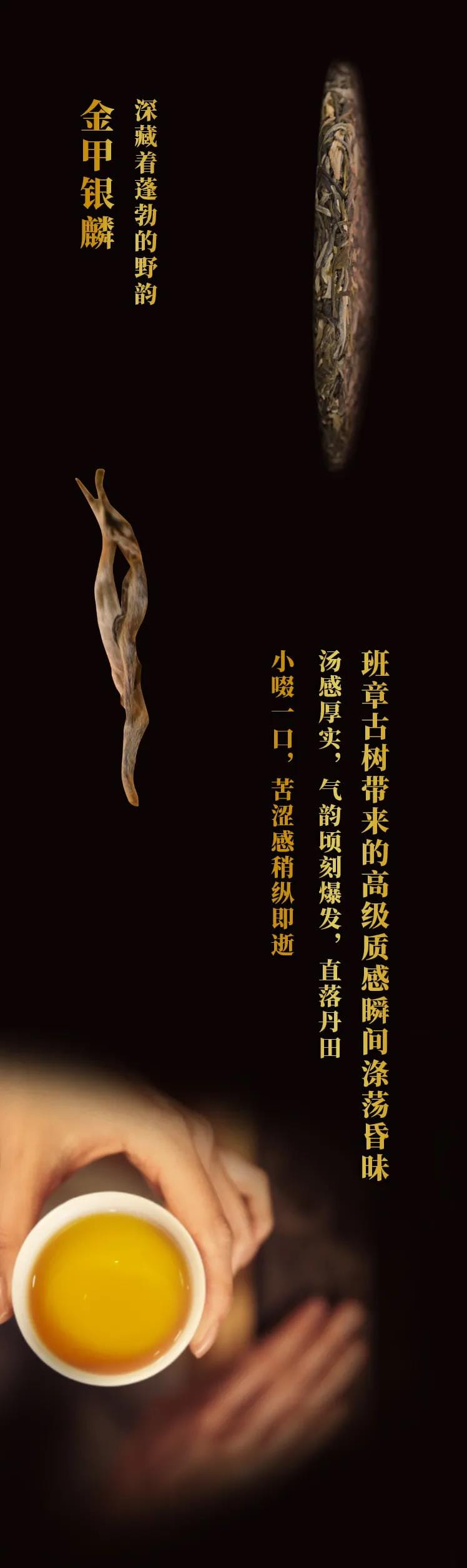 今大福2021年班章茶王青餅