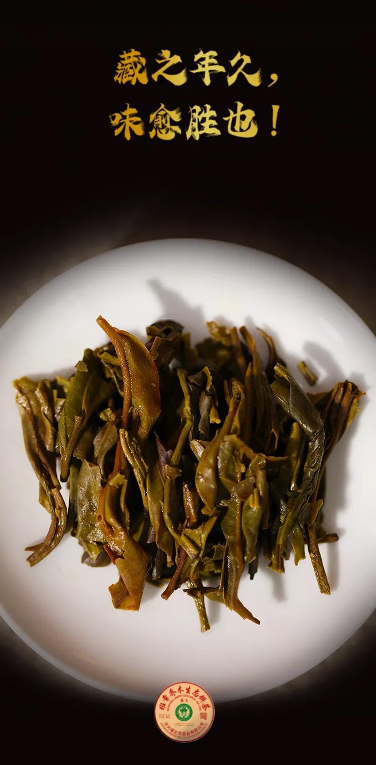 今大福2021年班章茶王青餅