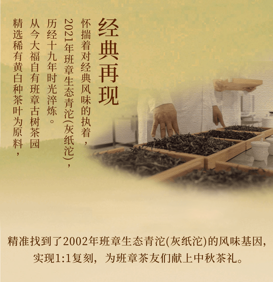 今大福2021年班章生態青沱(灰紙沱) 今大福2021年班章生態青沱(灰紙沱)