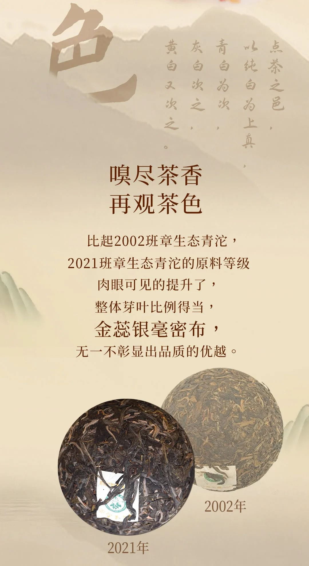 今大福2021年班章生態青沱(灰紙沱) 今大福2021年班章生態青沱(灰紙沱)