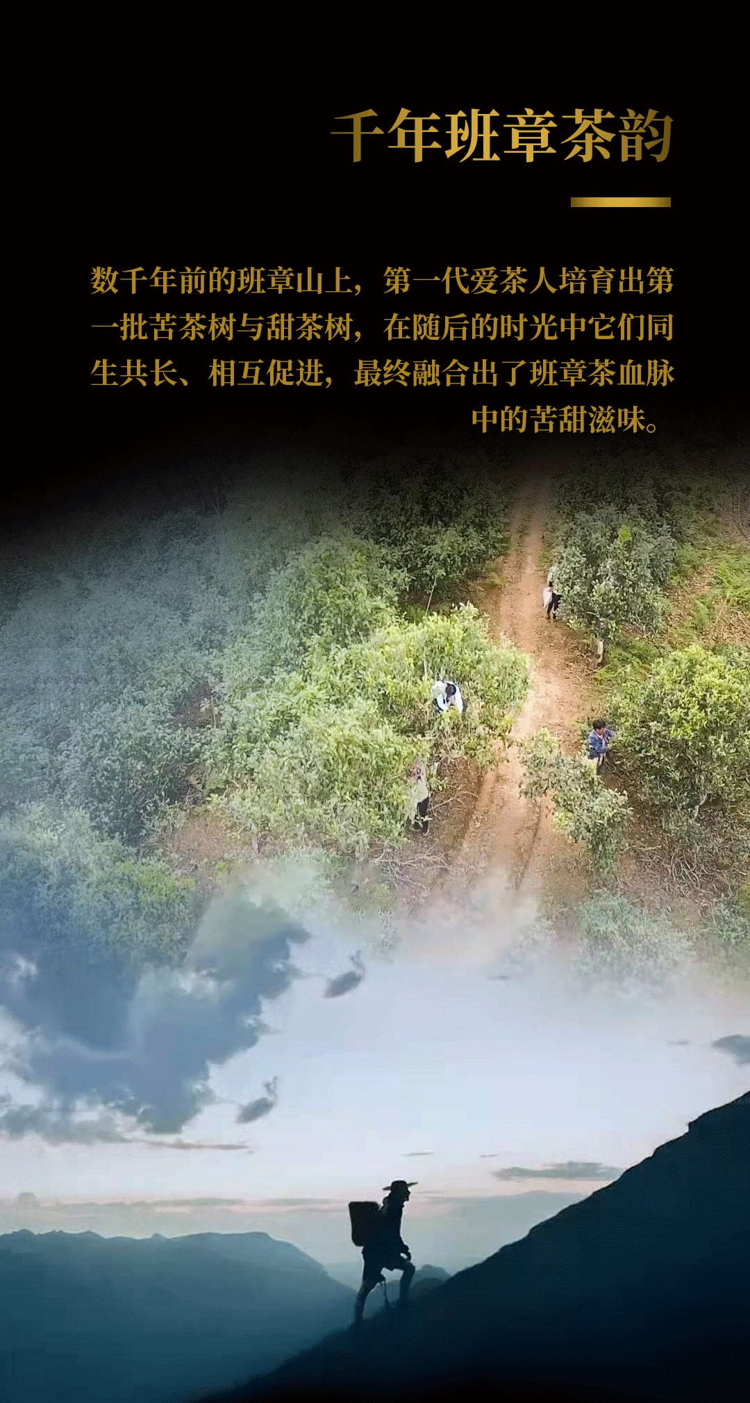 今大福2020年班章起福金磚