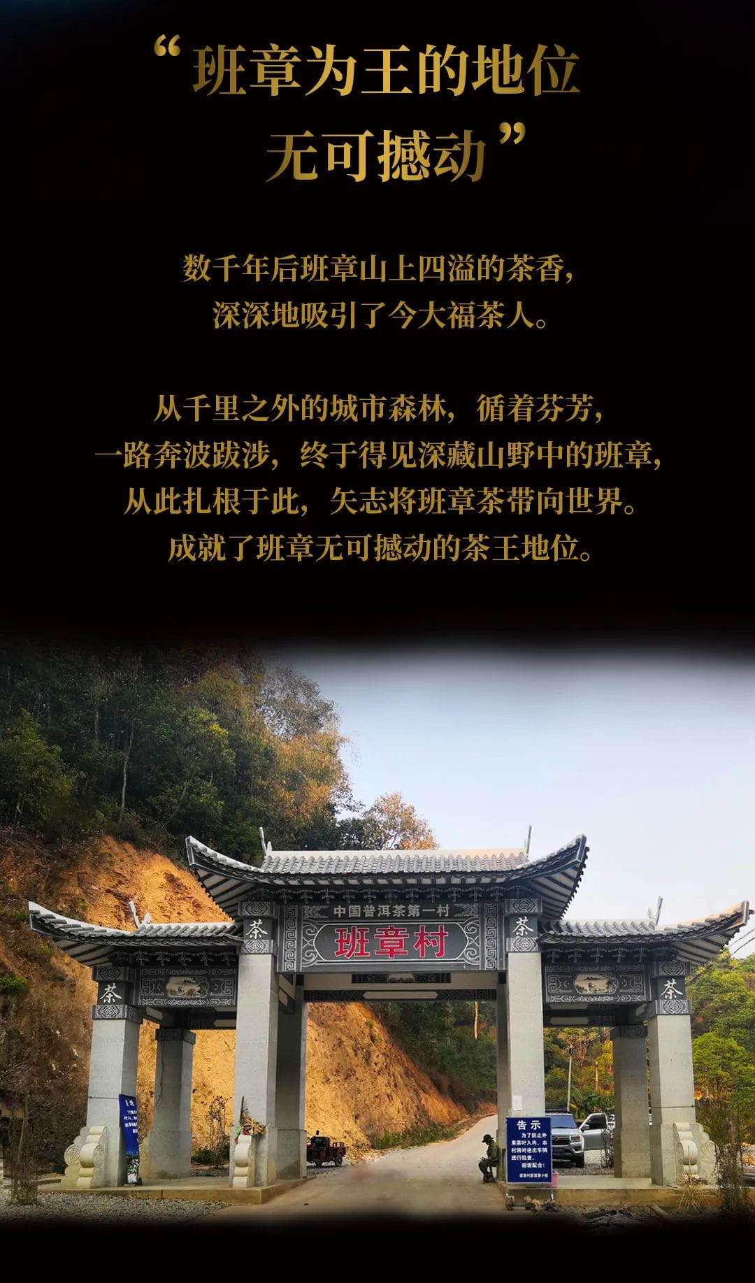 今大福2020年班章起福金磚