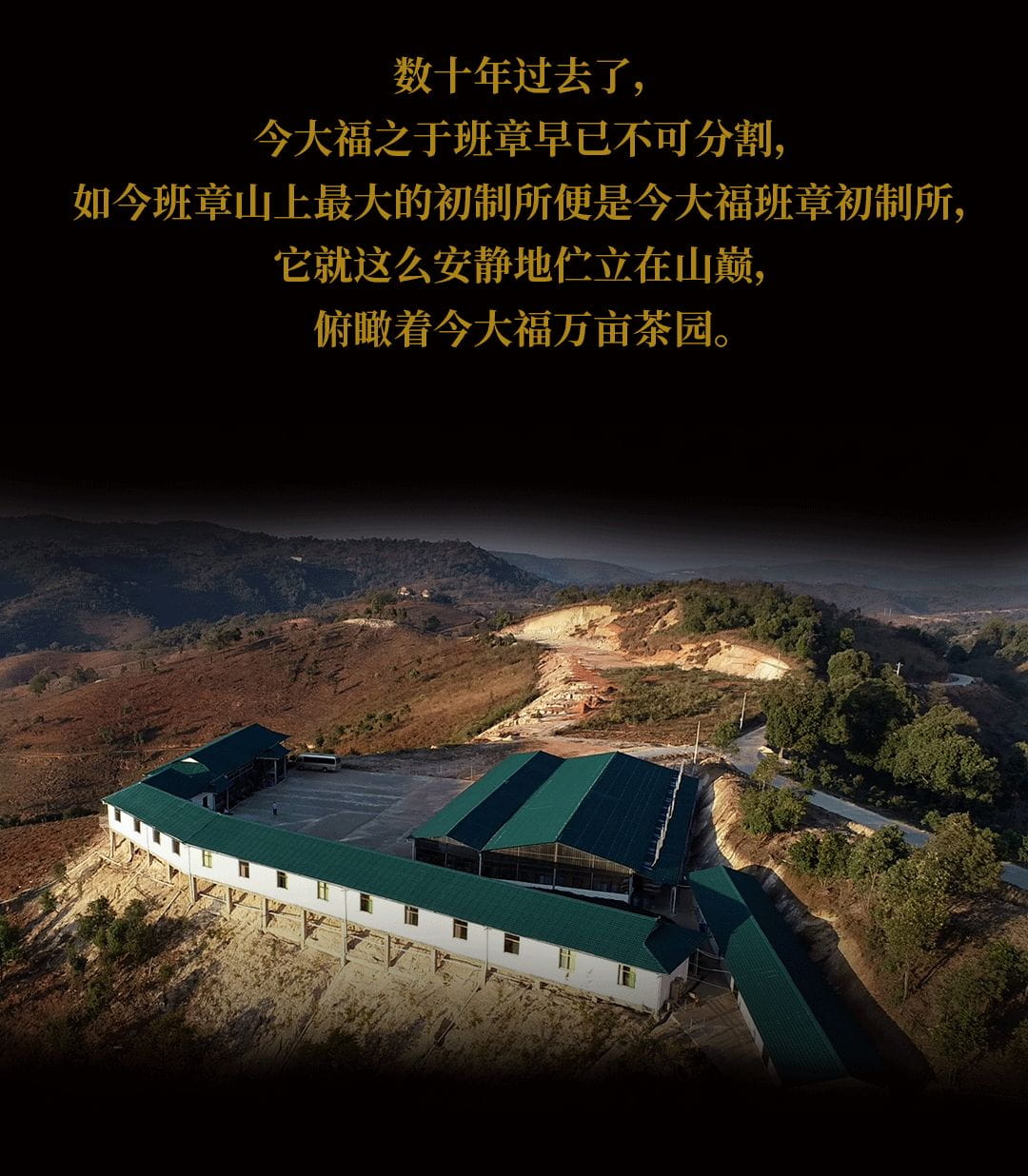 今大福2020年班章起福金磚