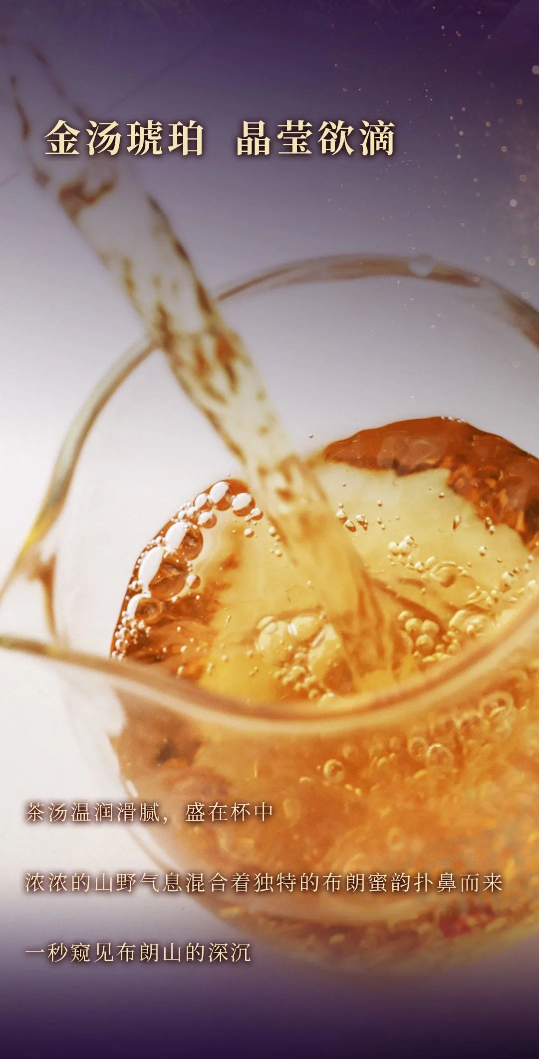 今大福2021年紫大象生態青餅 今大福2021年紫大象生態青餅