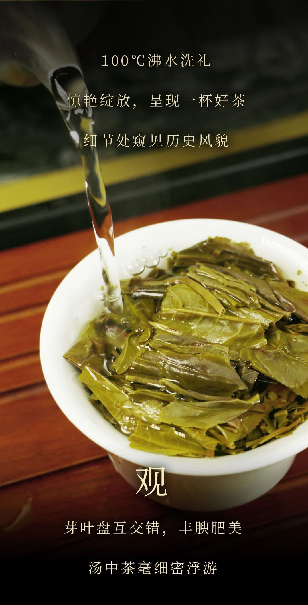 今大福2021班章精品青餅