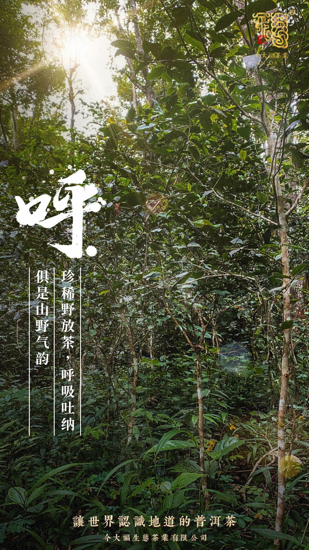 今大福2020年風華青餅