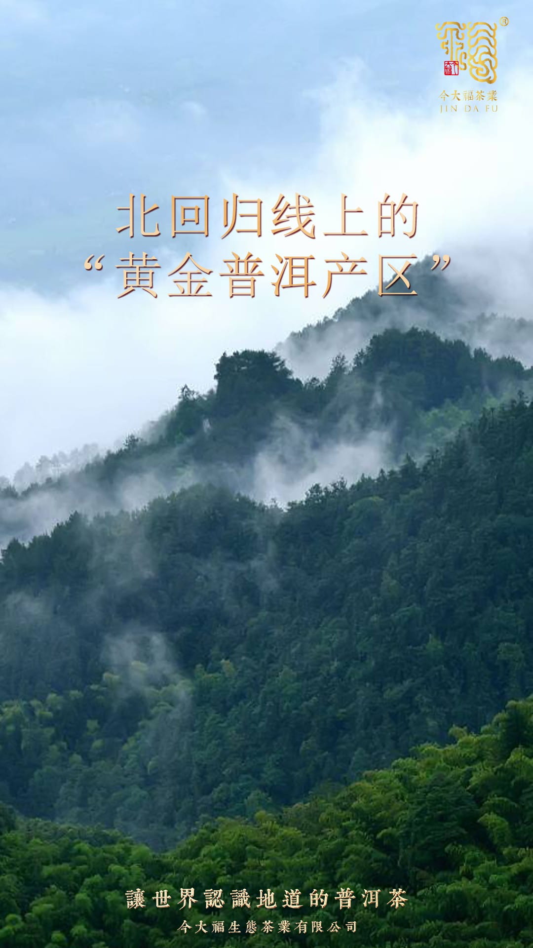 今大福2020年大象生態熟餅 今大福2020年大象生態熟餅