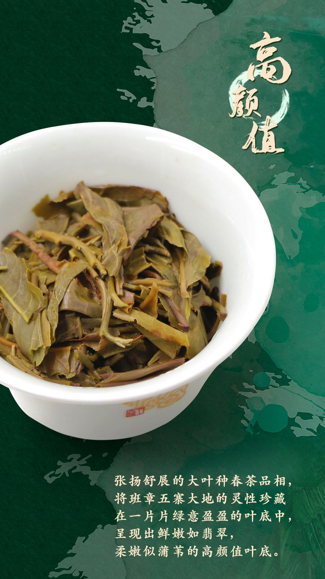 今大福2020年班章五寨 翡翠孔雀青餅