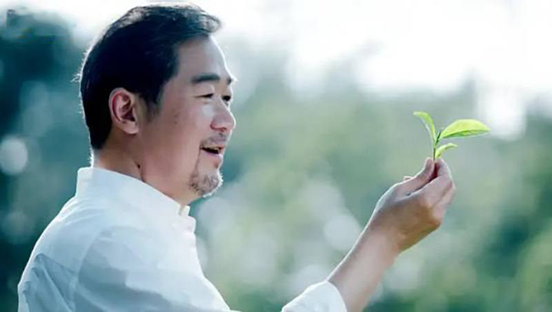 張國立從演員到茶藝大師他的普洱情緣