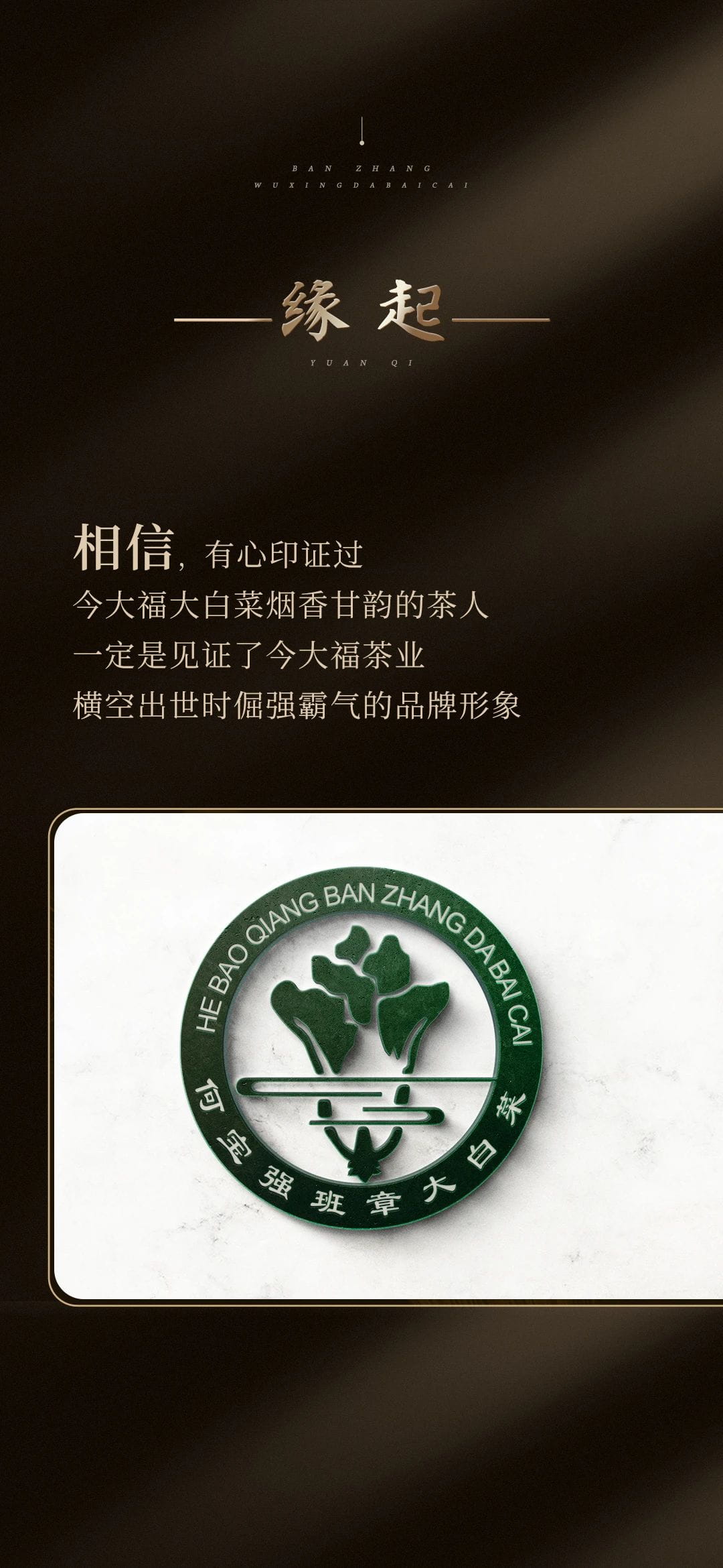 今大福2023年班章五星大白菜青餅