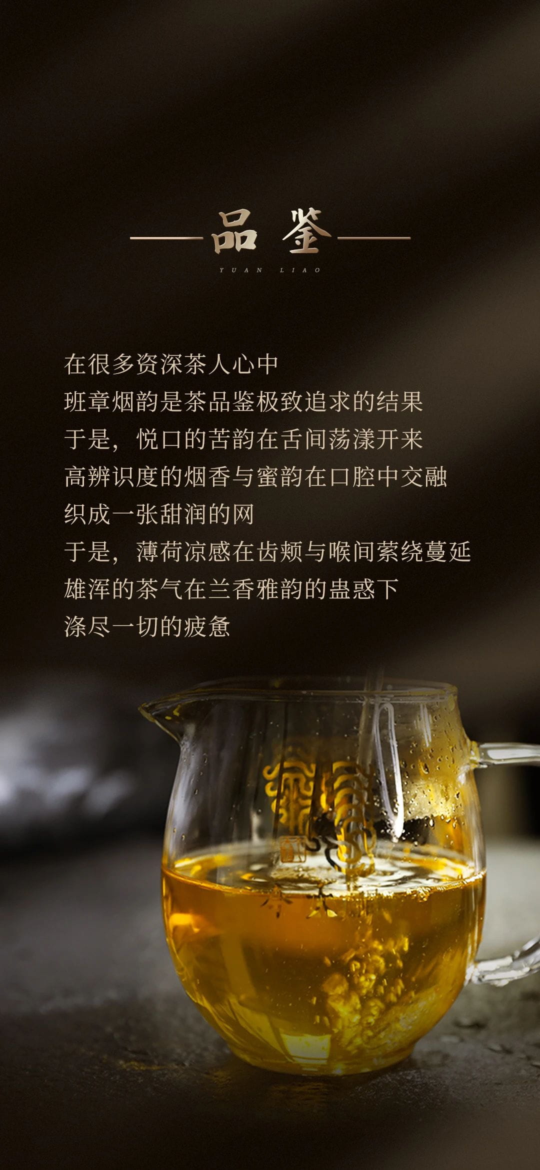 今大福2023年班章五星大白菜青餅