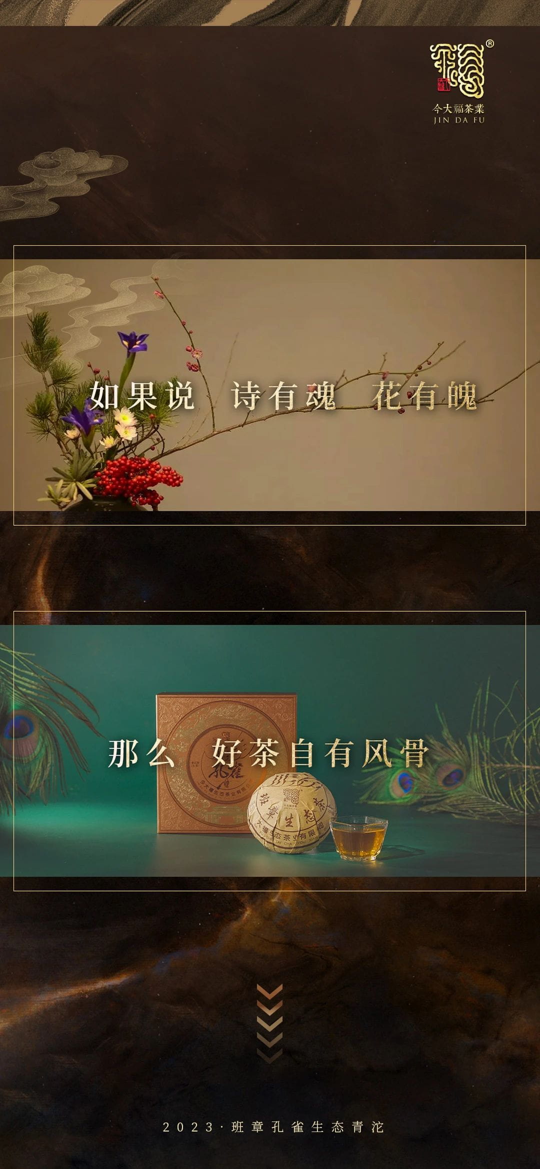 今大福2023年班章孔雀生態(tài)青沱