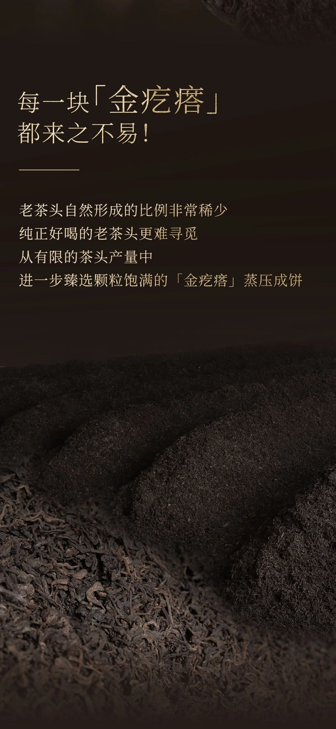 今大福2023年特制老茶頭熟餅