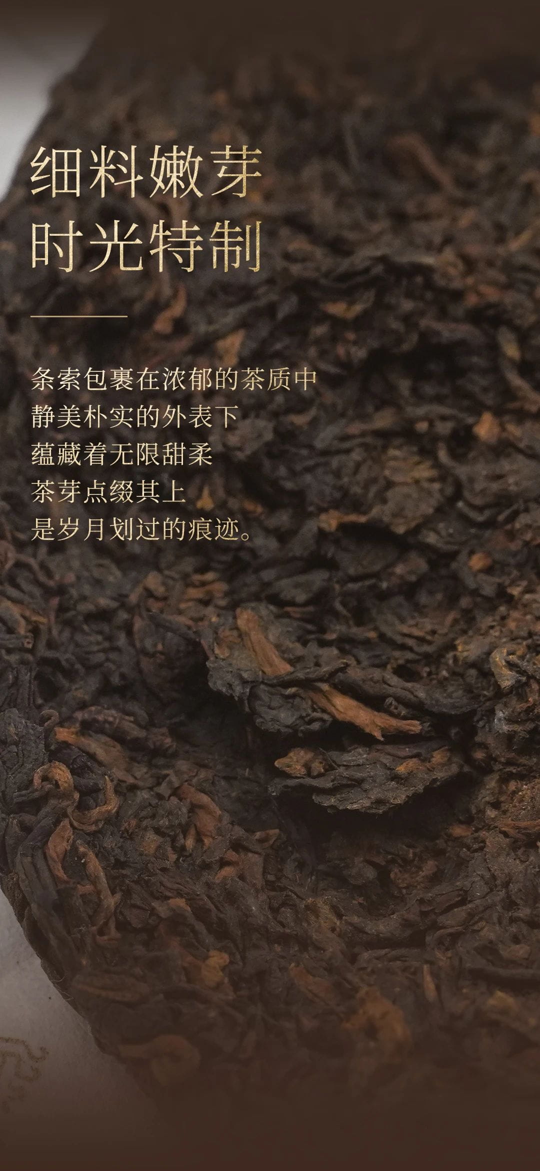 今大福2023年特制老茶頭熟餅