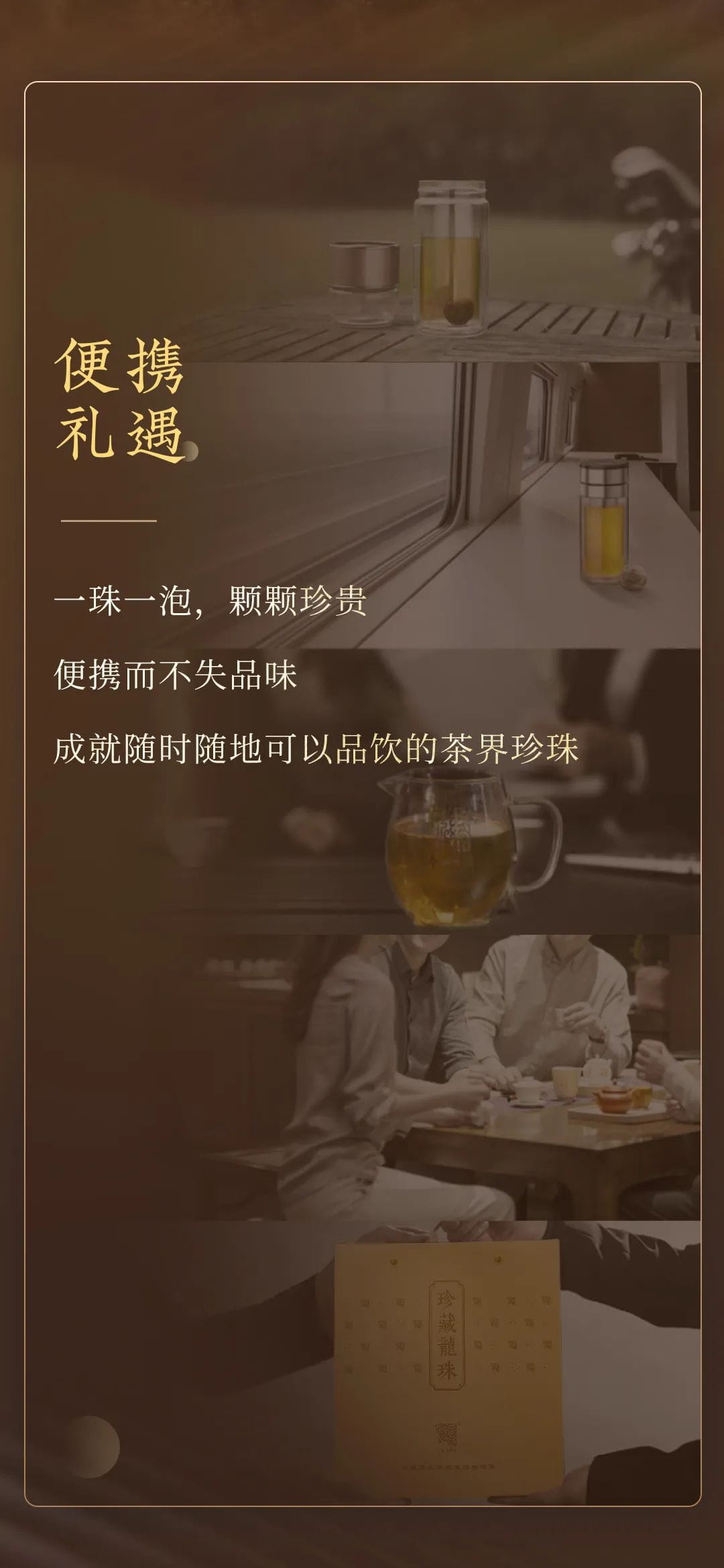 今大福2023年生態古樹珍藏龍珠