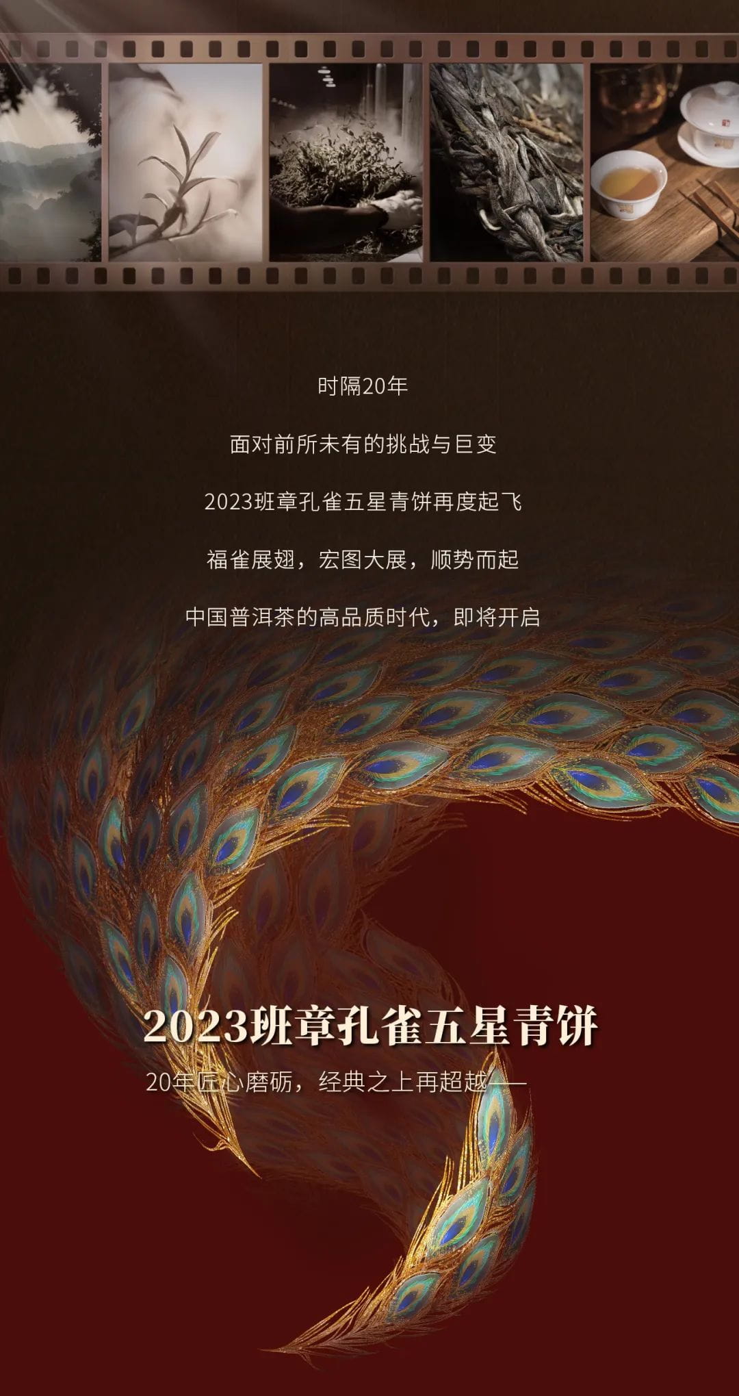 今大福2023年班章孔雀五星青餅