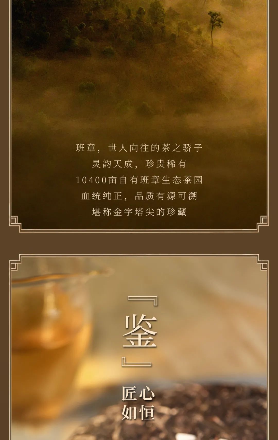 今大福2023年叱咤風(fēng)云班章龍青餅