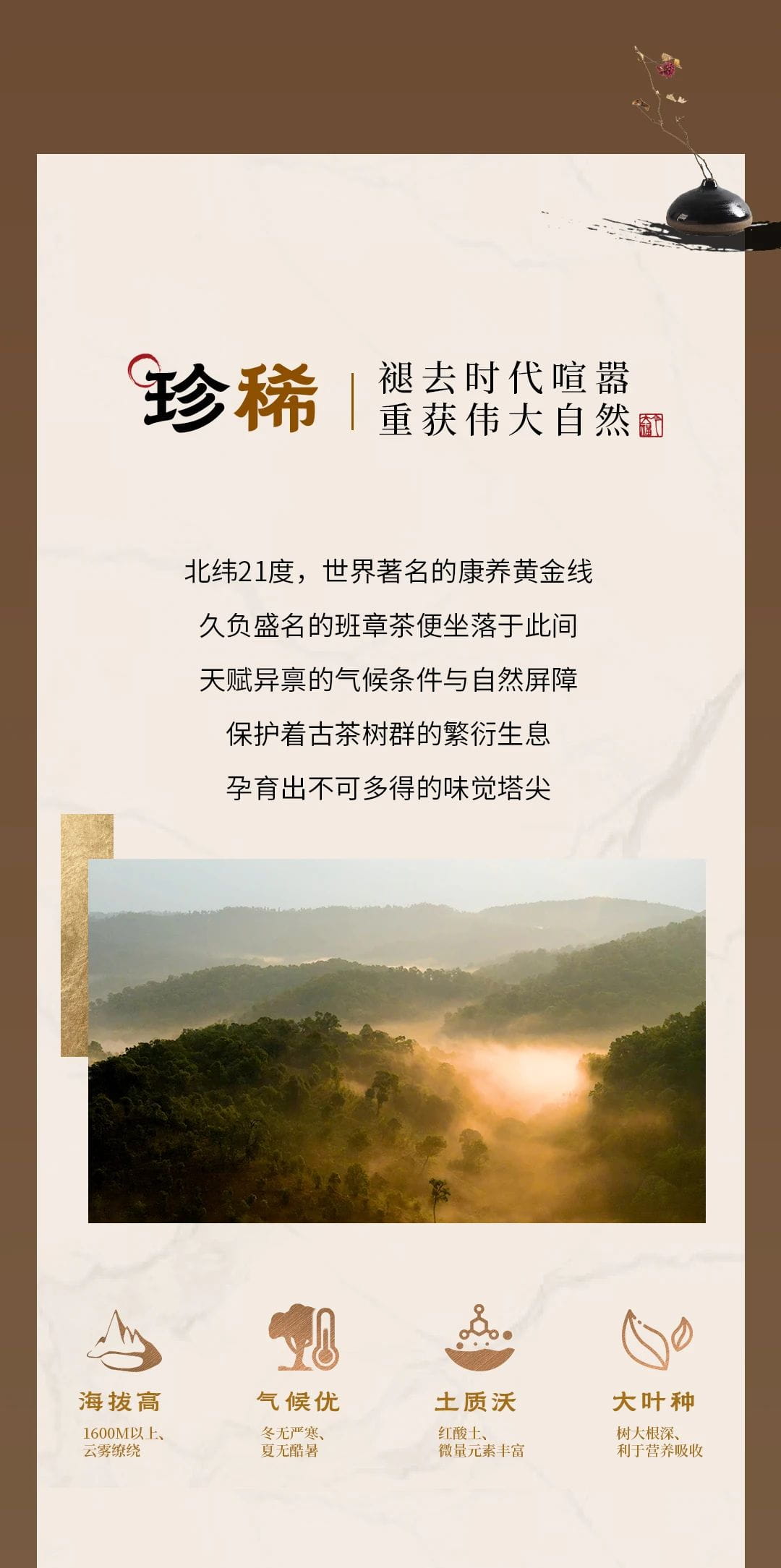 今大福2024年經典傳承青餅