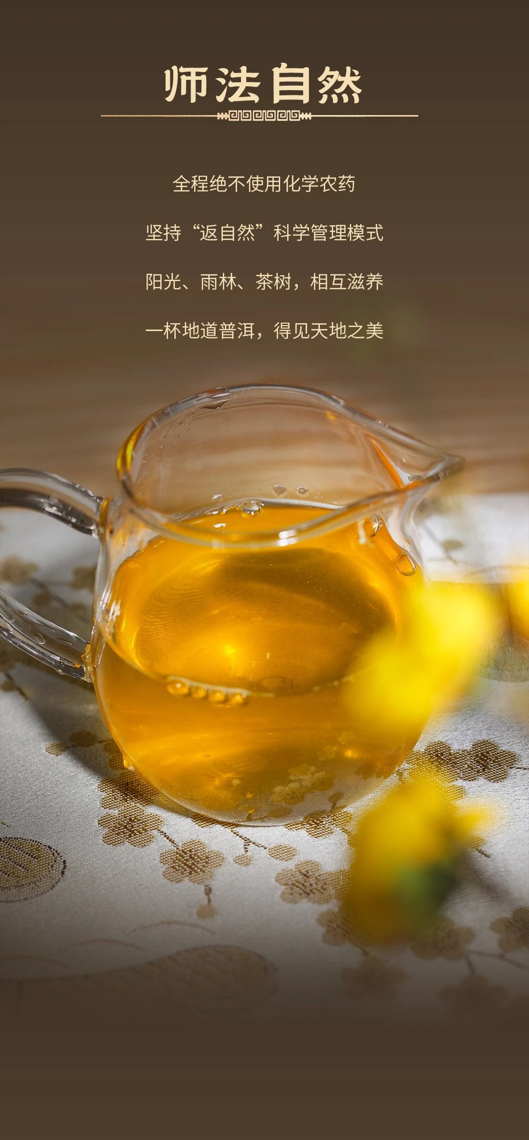 今大福2024年經典傳承青餅