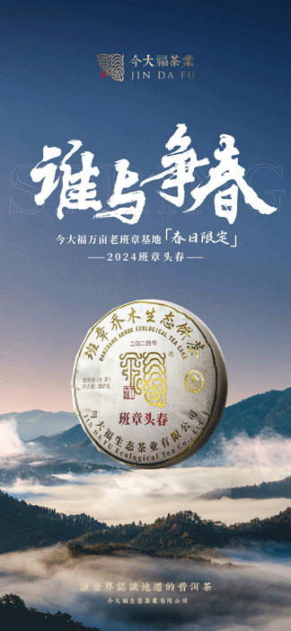 今大福2024年班章頭春青餅