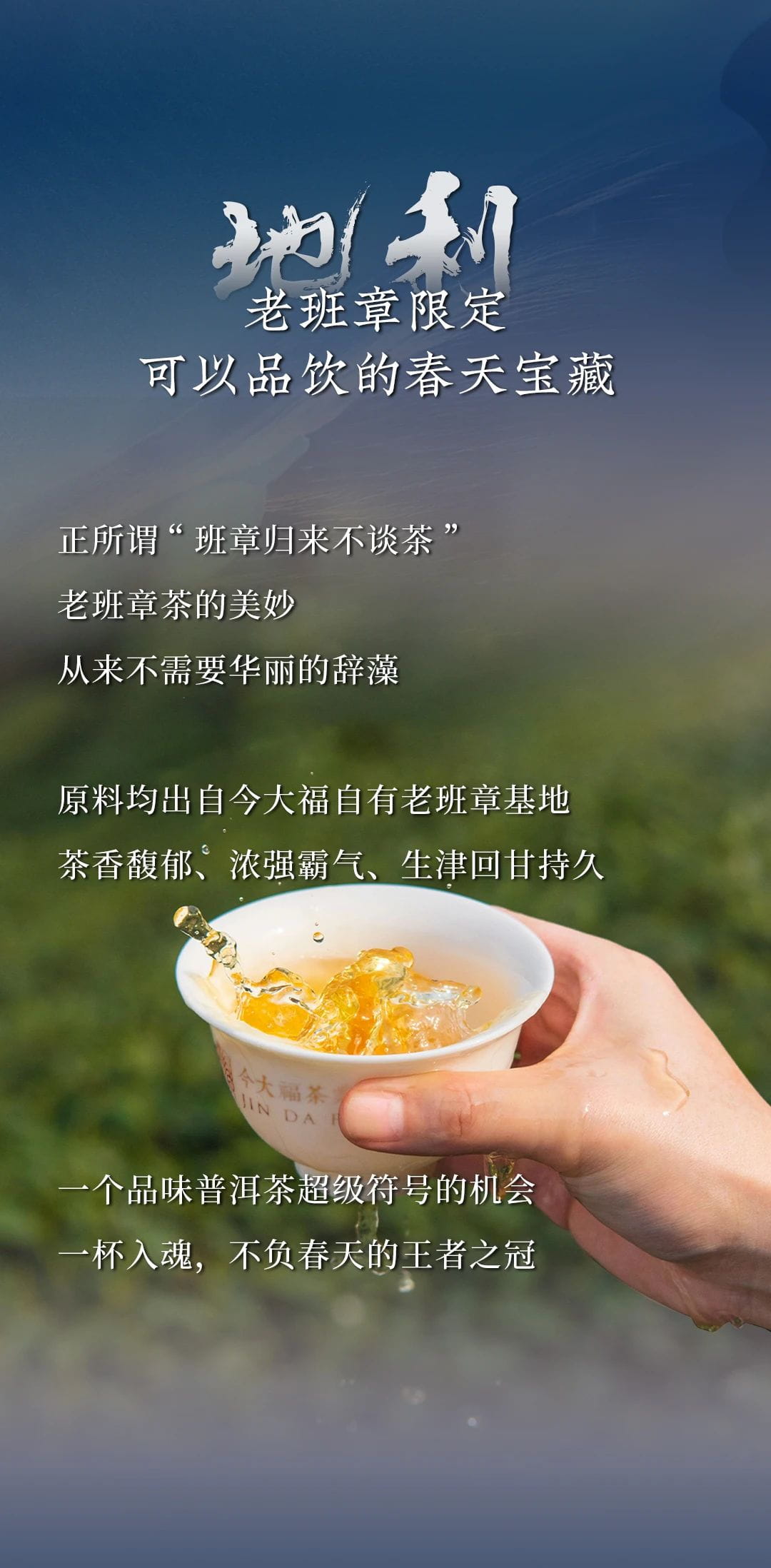 今大福2024年班章頭春青餅