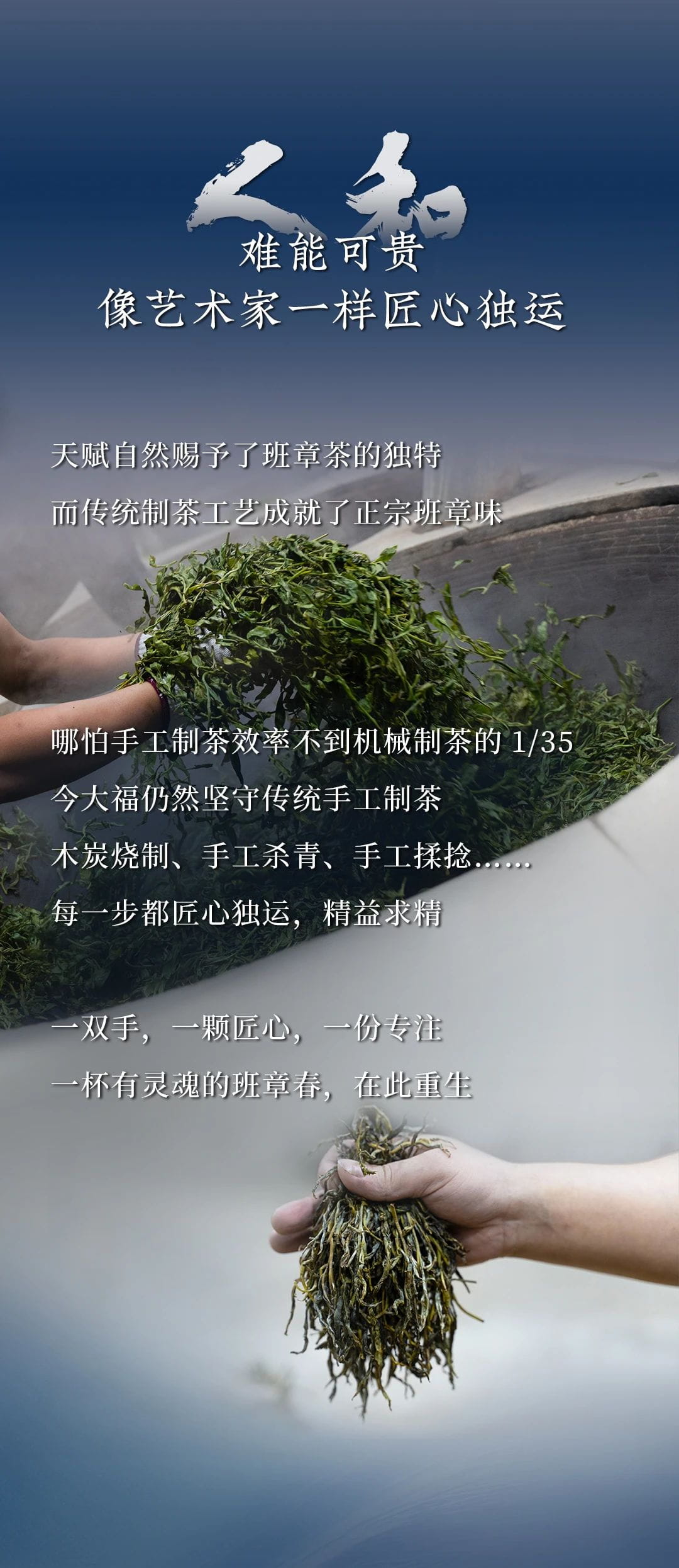 今大福2024年班章頭春青餅