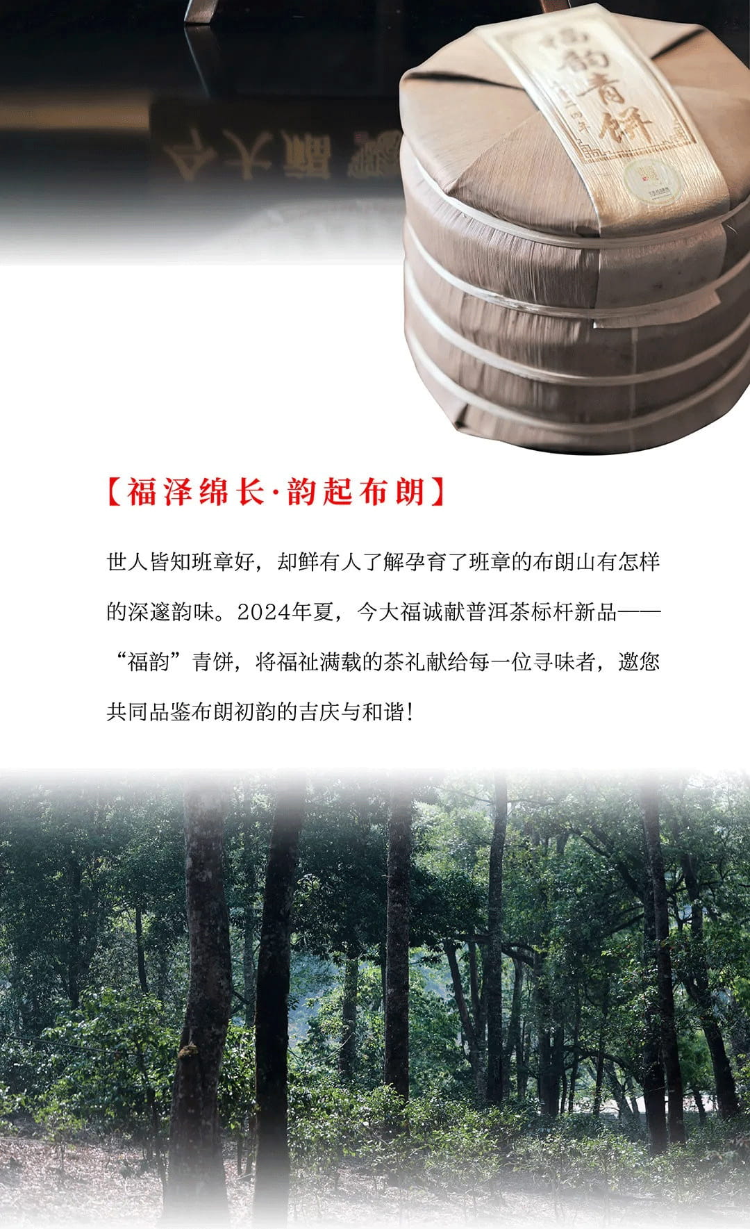 今大福2024年福韻青餅