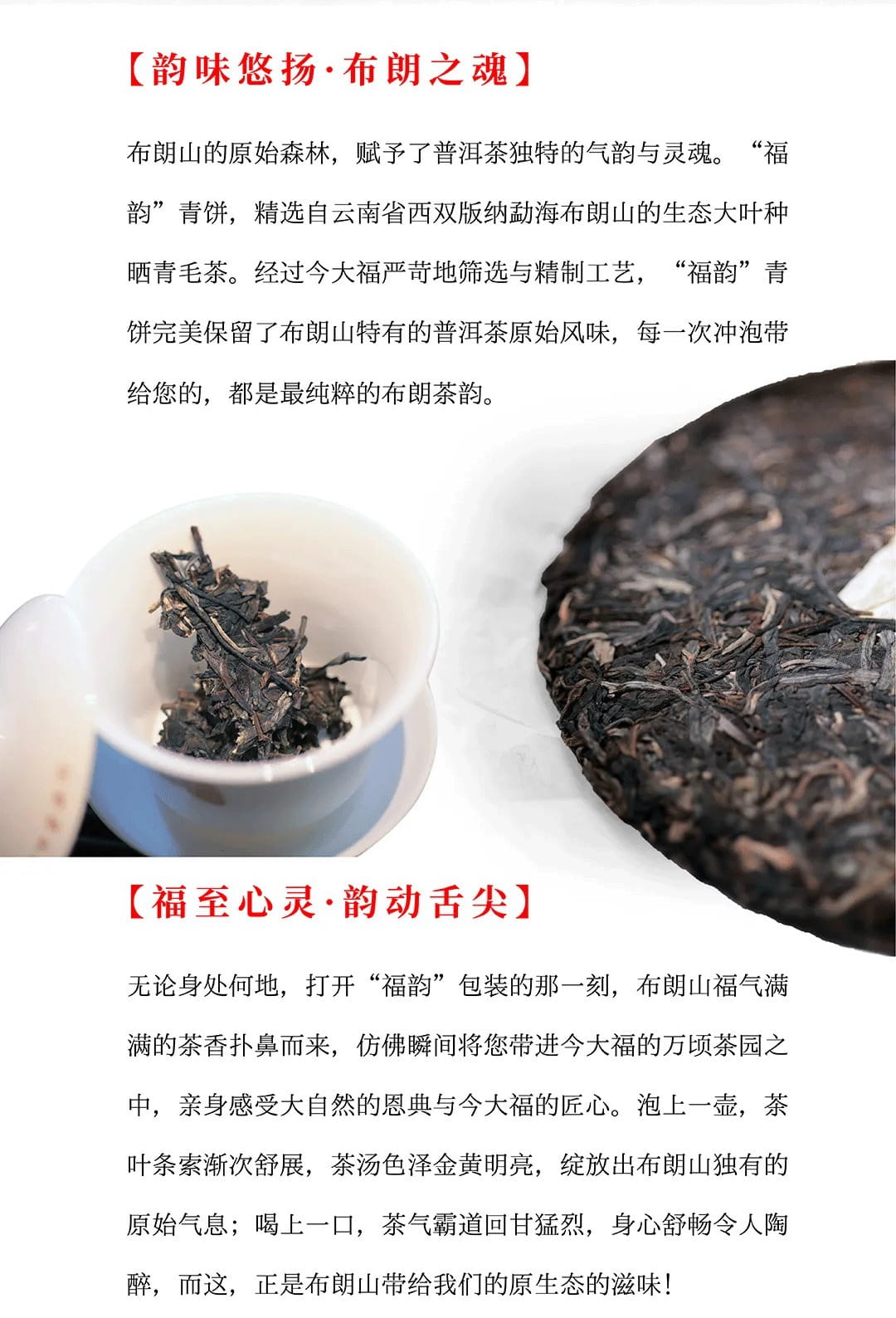 今大福2024年福韻青餅