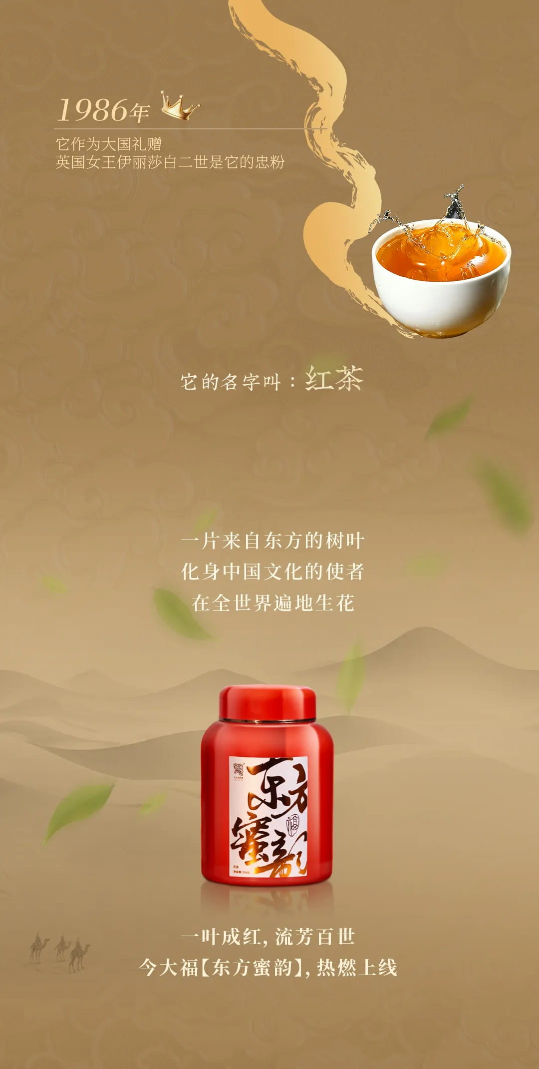 今大福2024年?yáng)|方蜜韻