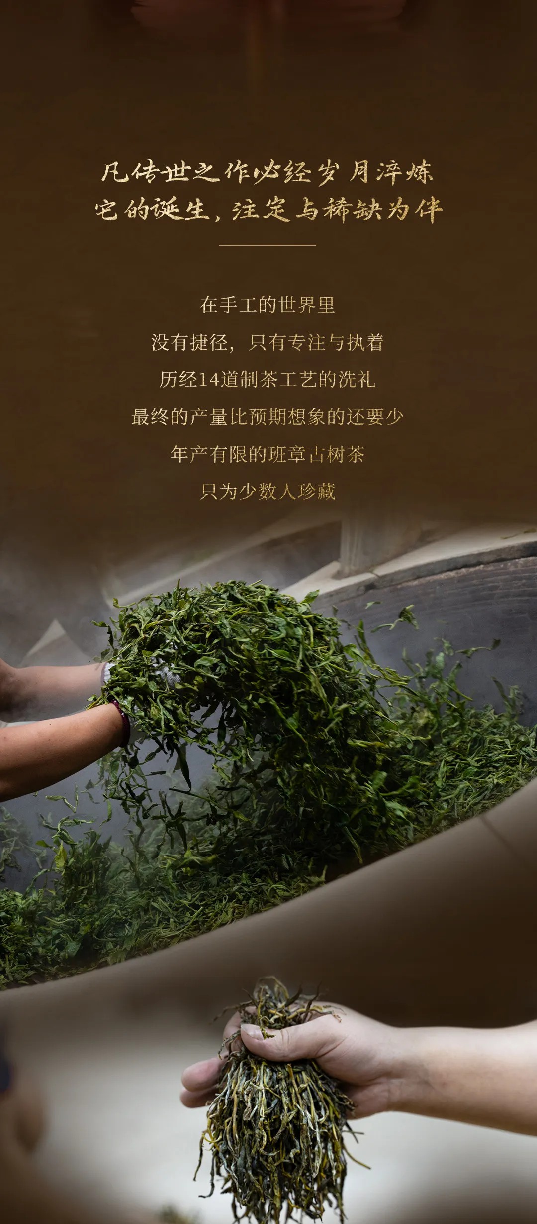 今大福2024年班章金韻青餅