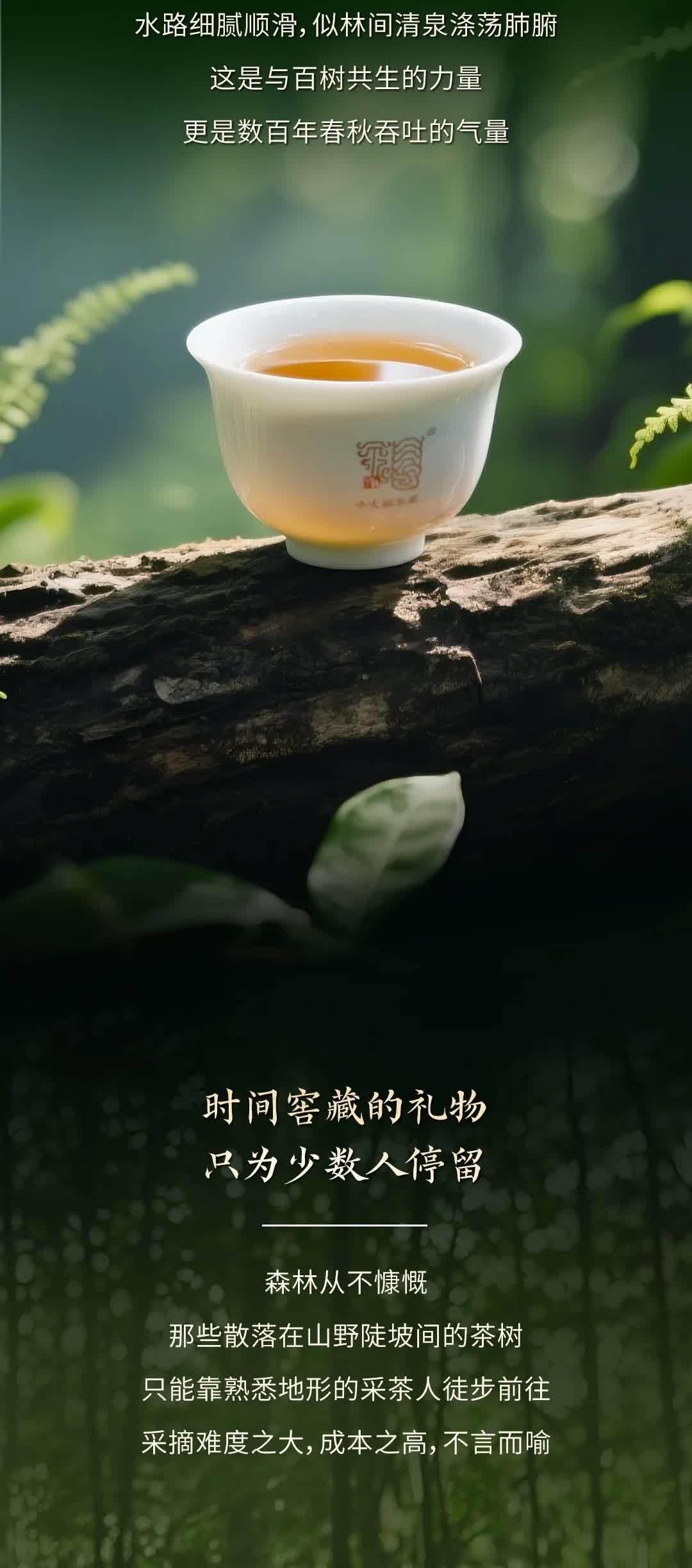 今大福2025年森林班章青餅” /><br /> </span> </p><p class=